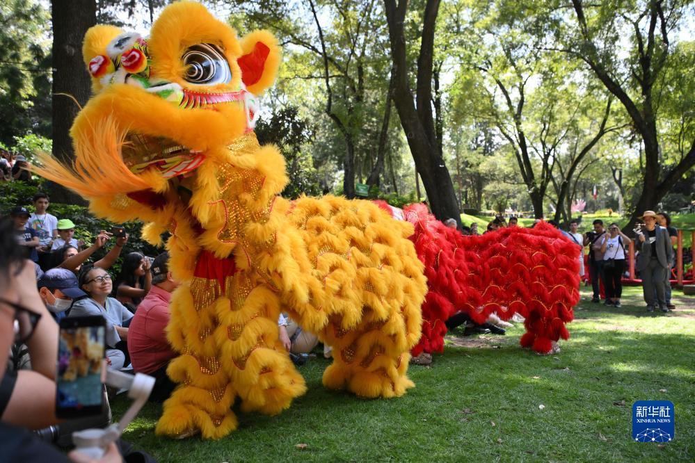 好友约局棋牌